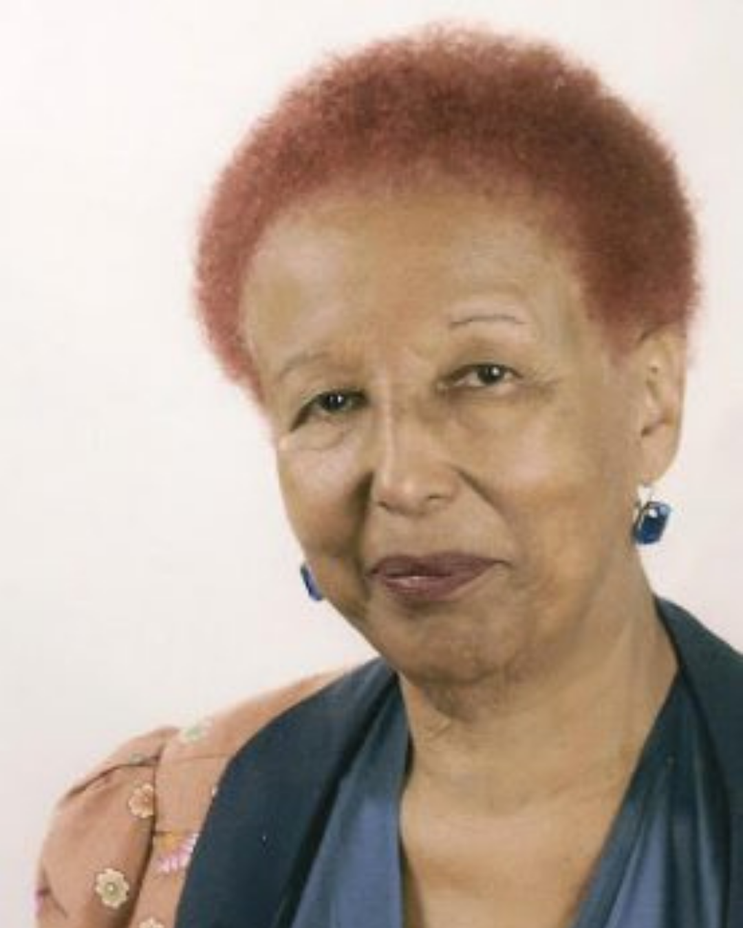 Petronilha Gonçalves e Silva: Uma Nova Voz Negra na Academia Rio-Grandense de Letras